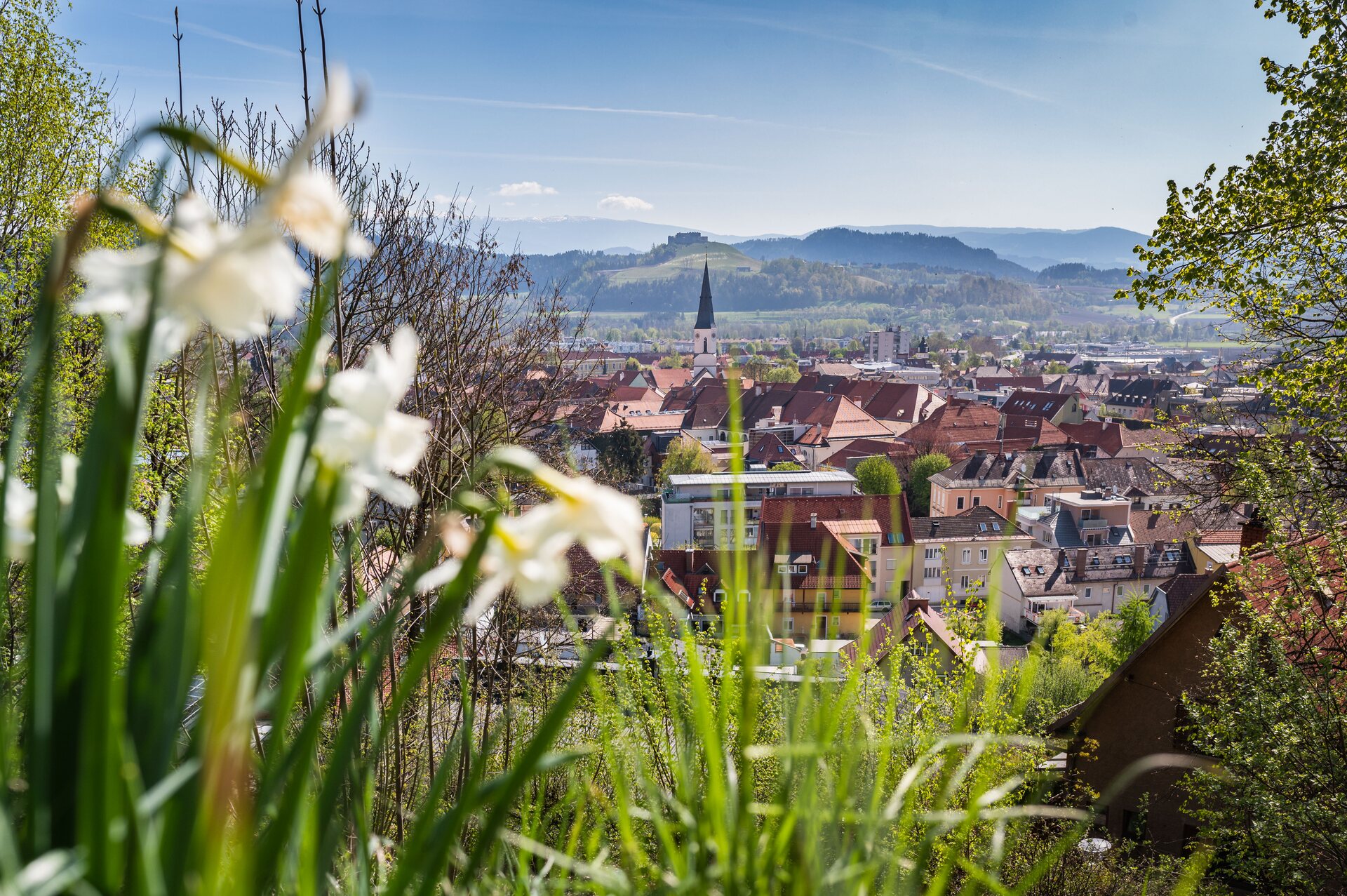 Blick auf St. Veit an der Glan im Frühling